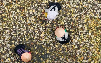 FUWA Biotech - Dấu ấn công nghệ sinh học trong ngành tẩy rửa xanh