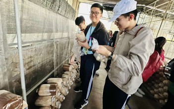 Diễn biến thời tiết phức tạp, Sở GD-ĐT TP.HCM đưa ra cảnh báo