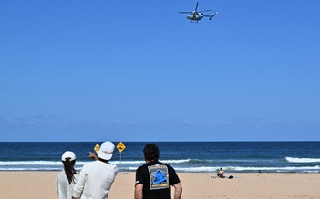 Cá mập cắn chết một phụ nữ tại Úc