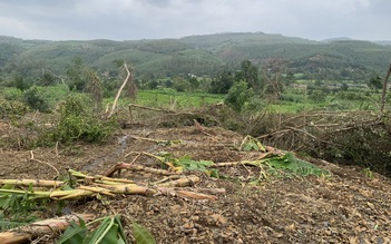 Trước bão số 15: Đắk Lắk khẩn cấp di dời 13 hộ dân do sạt lở núi