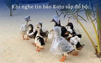 Cái kết đẹp cho đàn vịt trôi trên biển trong lũ: Được khám sức khỏe, đi trú bão số 15