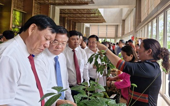 Phát huy vai trò đầu tàu, tiên phong