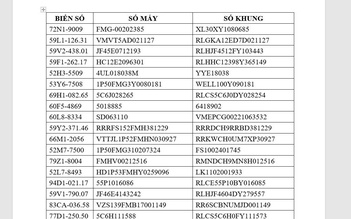 TP.HCM: Công an phường An Hội Tây tìm chủ sở hữu 50 xe mô tô quá hạn tạm giữ