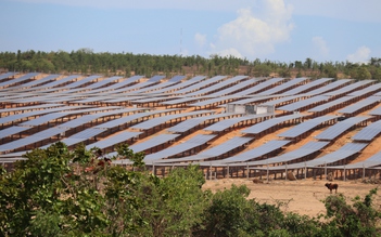 6 tổ 'đặc nhiệm' của Lâm Đồng gỡ vướng 'dự án treo'