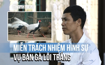 Cần phải rút kinh nghiệm vụ phạt người nuôi gà lôi trắng 6 năm tù