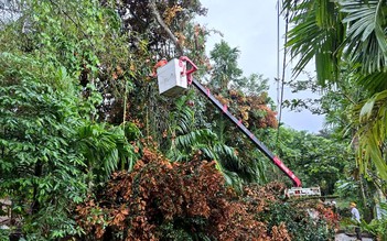 PC Đà Nẵng triển khai đồng bộ các biện pháp ứng phó bão số 13