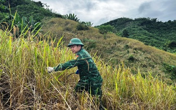 Đà Nẵng khẩn trương sơ tán dân, ứng phó bão Kalmaegi trước ngày 6.11