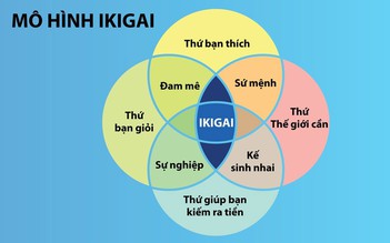 Chạm đến 'Ikigai' cùng Dai-ichi Life Việt Nam