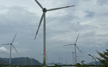 Nhà đầu tư điện gió kiến nghị hạn chế cắt giảm công suất