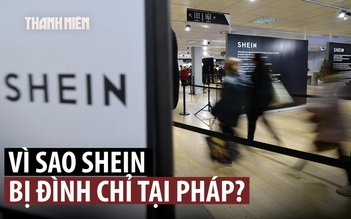 Pháp đình chỉ Shein vì bán búp bê tình dục và vũ khí