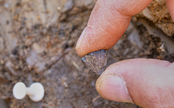 Người tiền sử không như chúng ta vẫn nghĩ?