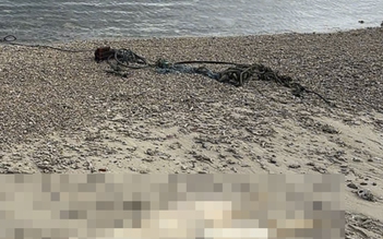 Một thi thể không còn nguyên vẹn trôi dạt vào bờ biển Quảng Ngãi
