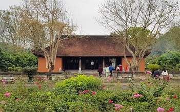 Tinh tú đất Việt: Nghề y cứu người trên hết