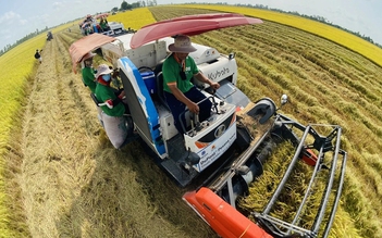 Đã đến lúc tính lại chiến lược cho gạo