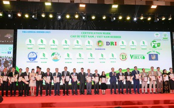 Ngành cao su Việt Nam xuất khẩu dự kiến đạt 11,6 tỉ USD