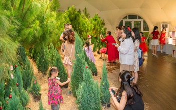 Lễ hội Giáng sinh miễn phí tại Dinh Độc Lập