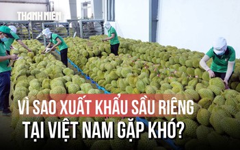 Khi sầu riêng trở thành ngành ‘hot’: Rủi ro thuốc giả, chất độc hại gây khó xuất khẩu?