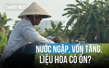 Tết Bính Ngọ 2026: Nhà vườn TP.HCM tất bật chờ 
thị trường khởi động