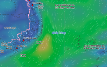 Vùng biển 9 tỉnh từ Gia Lai đến Cà Mau gió mạnh, sóng cao 4 m
