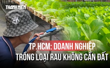 TP.HCM: đất trồng hạn hẹp, rau thủy canh 'lên ngôi'