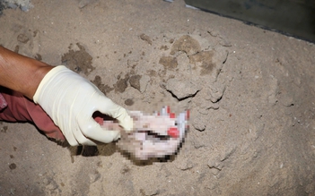 TP.HCM: Phát hiện thi thể nữ trên sông Sài Gòn, bàn tay 6 ngón