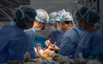 TP.HCM: Sinh viên hiến gan cứu giảng viên đại học