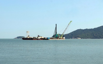 Cà Mau chuyển đổi 9,85 ha rừng phòng hộ làm đường ra đảo Hòn Khoai