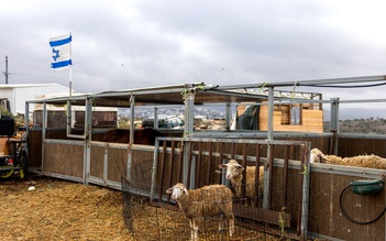 Israel mở rộng khu định cư ở Bờ Tây gây phản ứng