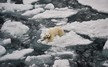 Năm 2026: 'Bình thường mới' của khí hậu toàn cầu