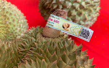 Thí điểm 'căn cước số' truy xuất nguồn gốc trên trái sầu riêng