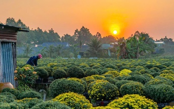 Nghề trồng hoa kiểng ở Sa Đéc là di sản văn hóa phi vật thể quốc gia