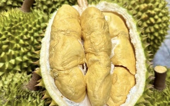 Tăng 200% xuất khẩu sầu riêng lập kỷ lục chưa từng có