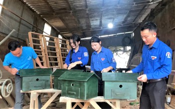 Những 'ngôi nhà pin' ở xã Kỳ Hoa