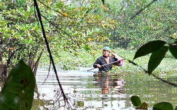 Lội sình hái bình bát ở TP.HCM: Nghề mưu sinh đầy hiểm nguy của người cha 3 con