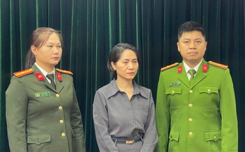 Bắt giám đốc công ty tổ chức show ‘Về đây bốn cánh chim trời’