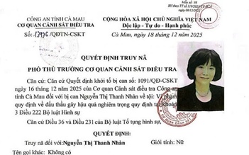 Cà Mau: Truy tố Nguyễn Thị Thanh Nhàn, cựu Chủ tịch AIC trong vụ án thứ 2