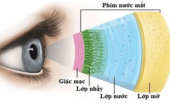 Khô mắt: Mối lo phổ biến trong thời đại số và các giải pháp chăm sóc mắt