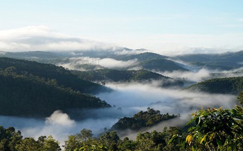 Cá nục kho măng ở Kon Tum: Cuộc gặp gỡ giữa núi đại ngàn và hơi thở biển khơi