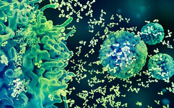 Bộ ba bảo vệ khỏi HPV: Tiêm chủng, xét nghiệm tầm soát, theo dõi kịp thời