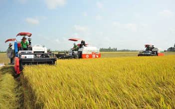 Gạo Việt từ ngon nhất đến 'xanh' nhất thế giới