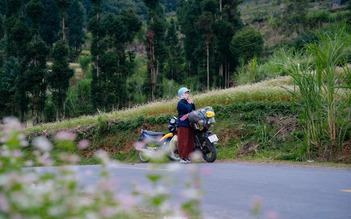 Từ đảo ngọc đến cao nguyên đá, câu chuyện mùa lễ hội cuối năm thú vị