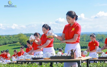 Bàn về văn hóa, ngoại giao trà