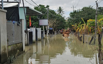 Gia Lai: Hàng chục hộ dân vẫn chưa thể về nhà do ngập lụt