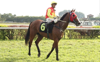 Chú ngựa trẻ Thiên Mã của Việt Nam lập chiến công tại Malaysia