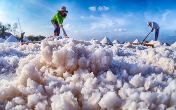 Về Bạc Liêu nghe Festival kể chuyện nghề muối