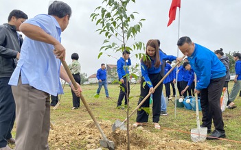 Đầu năm mới, trồng hơn 200 cây sao để bảo vệ môi trường