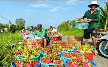 Nông sản Việt liên tục bị EU ‘tuýt còi’, cao hơn hẳn hàng Thái Lan, Hàn Quốc