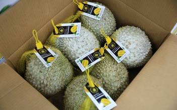 Cơ hội mới của sầu riêng Việt ở thị trường Trung Quốc