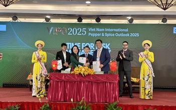 Trung Quốc đưa 20 doanh nghiệp sang Việt Nam mua hồ tiêu