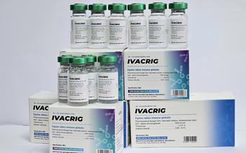 Huyết thanh IVACRIG - Vũ khí hiệu quả điều trị dự phòng bệnh dại 